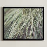 "GRASS" - Art Print in natural green by Stacy Cooke - Framed