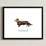"Dachshund" - Art Print in Brown by Megan Kelso - Framed