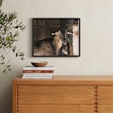 "Peeking" - Art Print in Umber by Paula Pecevich - In a Room