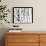 "Colorado Winter Pine" - Art Print in Black and White by Jake Belvin - In a Room