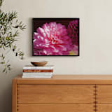 "Pink Dahlia" - Art Print in Pink Array by A MAZ Design - In a Room