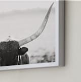 "Staredown" - Art Print in White by Amy Carroll - Frame Close-up