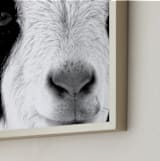 "Pawnee" - Art Print in Black and White by Leslie Le Coq - Frame Close-up