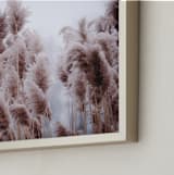 "Plumose" - Art Print in Natural by Robin Ott - Frame Close-up