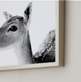 "Darling Deer" - Art Print in Charcoal by Jessie Steury - Frame Close-up