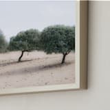 "Casting Shade" - Art Print in Sage by Courtney Crane - Frame Close-up