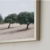 "Casting Shade" - Art Print in Sage by Courtney Crane - Frame Close-up