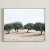 "Casting Shade" - Art Print in Sage by Courtney Crane - Framed