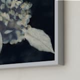 "Hortensia" - Art Print in Midnight by Courtney Crane - Frame Close-up