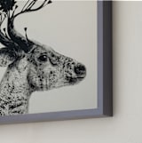"Flower Stag" - Art Print in Ash by Holly Hudson - Frame Close-up