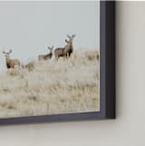 "Watchful" - Art Print in Beige by Jennifer Morrow - Frame Close-up