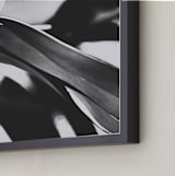 "GLOWING BOTANICAL II" - Art Print in BLACK AND WHITE by Amy Chapman Braun - Frame Close-up