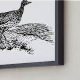 "Bewick's Little Bustard" - Art Print in Deep Black by Edward Walker - Frame Close-up
