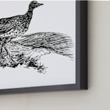 "Bewick's Little Bustard" - Art Print in Deep Black by Edward Walker - Frame Close-up