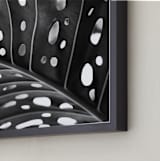 "Peek A Boo" - Art Print in black and white by Amy Chapman Braun - Frame Close-up