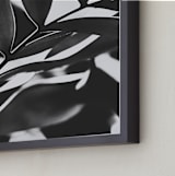 "GLOWING BOTANICAL I" - Art Print in black and white by Amy Chapman Braun - Frame Close-up