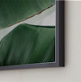 "leaf & light 4" - Art Print in White by Alicia Abla - Frame Close-up