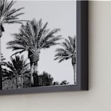 "Laid Back Palms" - Art Print in Gray by Three Wings North - Frame Close-up