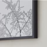 "Frost 1" - Art Print in Black & White by Ardell McLennan - Frame Close-up