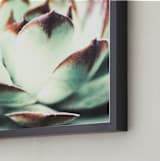 "Hens and Chicks" - Art Print in Mint by Elky Ink - Frame Close-up