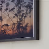 "Sunset among the grasses II" - Art Print in Red Fiery Violet by Lying on the grass - Frame Close-up