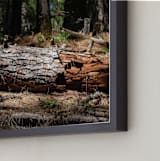 "Silence Fallen" - Art Print in Carmel by Elky Ink - Frame Close-up