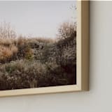 "The Preserve" - Art Print in Wheat by Robin Ott - Frame Close-up