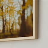 "Golden Canopy Study #2" - Art Print in Goldenrod by Stacy Kron - Frame Close-up