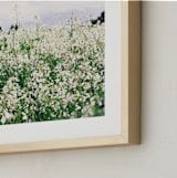 "Dream Field" - Art Print in Garden by Morgan Kendall - Frame Close-up