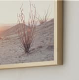 "Ocotillo III" - Art Print in desert blush by Kamala Nahas - Frame Close-up