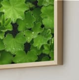"Magical Sparkling Leaves" - Art Print in soft green by Julia Preminger - Frame Close-up