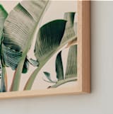 "Bending To The Sun" - Art Print in Leaf by ALICIA BOCK - Frame Close-up