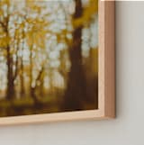 "Golden Canopy Study #2" - Art Print in Goldenrod by Stacy Kron - Frame Close-up
