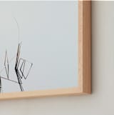 "Abstract Reeds" - Art Print in Fog by Robin Ott - Frame Close-up