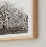 "bloom I" - Art Print in blossom by Sara Hicks Malone - Frame Close-up