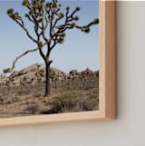 "Joshua Tree With Rock Formation in" - Art Print in Desert Tan by Kathy Van Torne - Frame Close-up