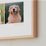 "Two Photo: Landscape Framed Photo" - Framed Photo in White by Anelle Mostert - Frame Close-up