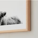 "Leon" - Art Print in Black White by Amy Carroll - Frame Close-up