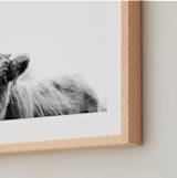 "Leon" - Art Print in Black White by Amy Carroll - Frame Close-up