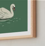 "White Swan" - Art Print in Moss by Ani Somi - Frame Close-up