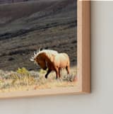 "Spirit Dance" - Art Print in Desert Gold by Leslie Le Coq - Frame Close-up
