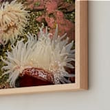 "Sea Anemones" - Art Print in Anemone Blush by Nicole Simms - Frame Close-up