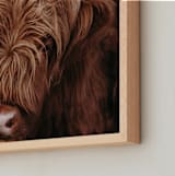 "Bashful" - Art Print in Nutmeg by Hollie Renner Photography - Frame Close-up
