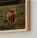 "Carnelian Rust" - Art Print in rust by Hollie Renner Photography - Frame Close-up