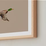 "Mallards in Flight 1" - Art Print in Neutral by Anee Shah - Frame Close-up