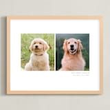 "Two Photo: Landscape Framed Photo" - Framed Photo in White by Anelle Mostert - Framed