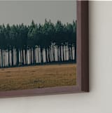 "Moody Trees" - Art Print in Pine by Zani van Zyl - Frame Close-up