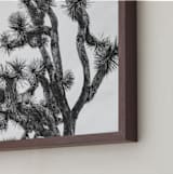 "Joshua Tree in September" - Art Print in Charcoal by Katie Doherty - Frame Close-up