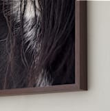 "Bucker" - Art Print in Wild Black by Leslie Le Coq - Frame Close-up