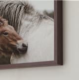"nuzzle" - Art Print in Chestnut by Kamala Nahas - Frame Close-up